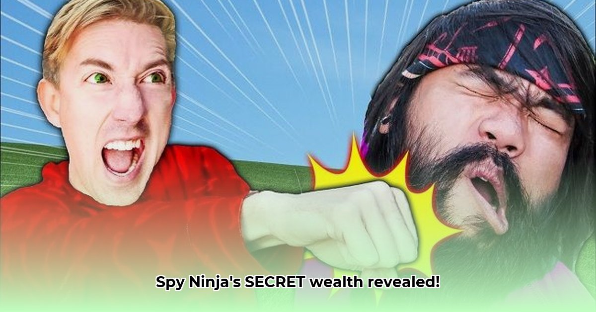 spy-ninja-net-worth